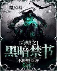 海贼之黑暗文