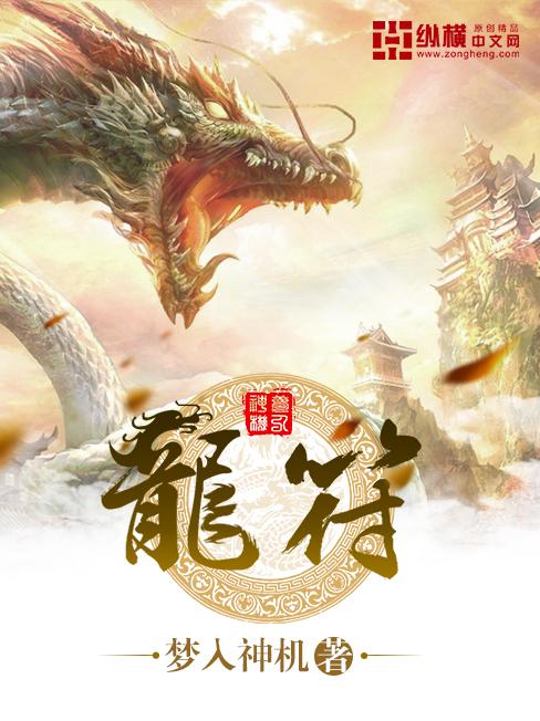 龙符txt全集