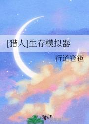 [猎人]生存模拟器